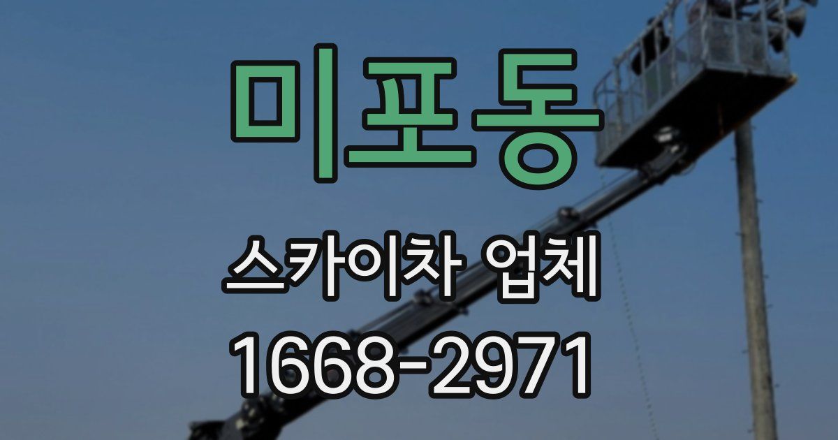 미포동 스카이차 업체