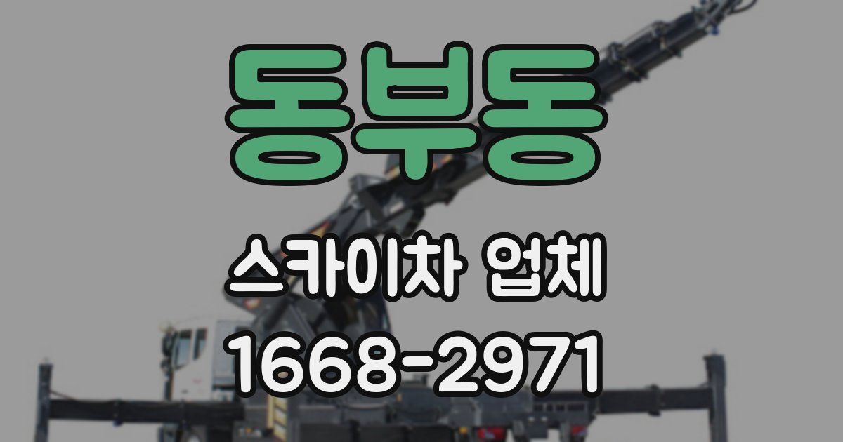 동부동 스카이차 업체