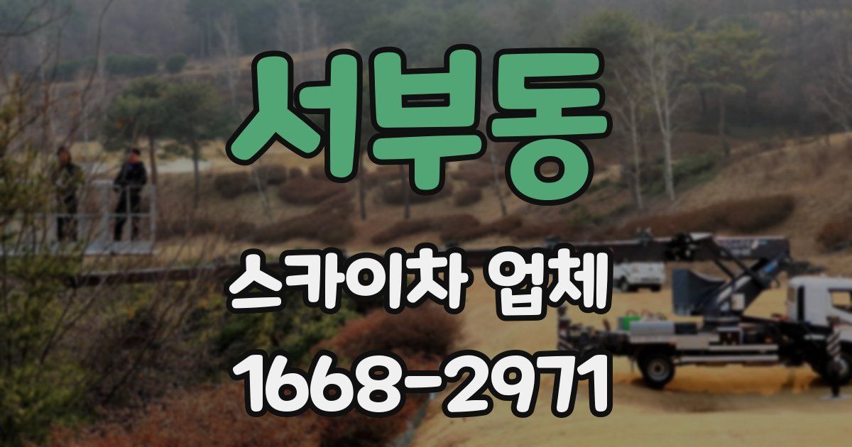 서부동 스카이차 업체