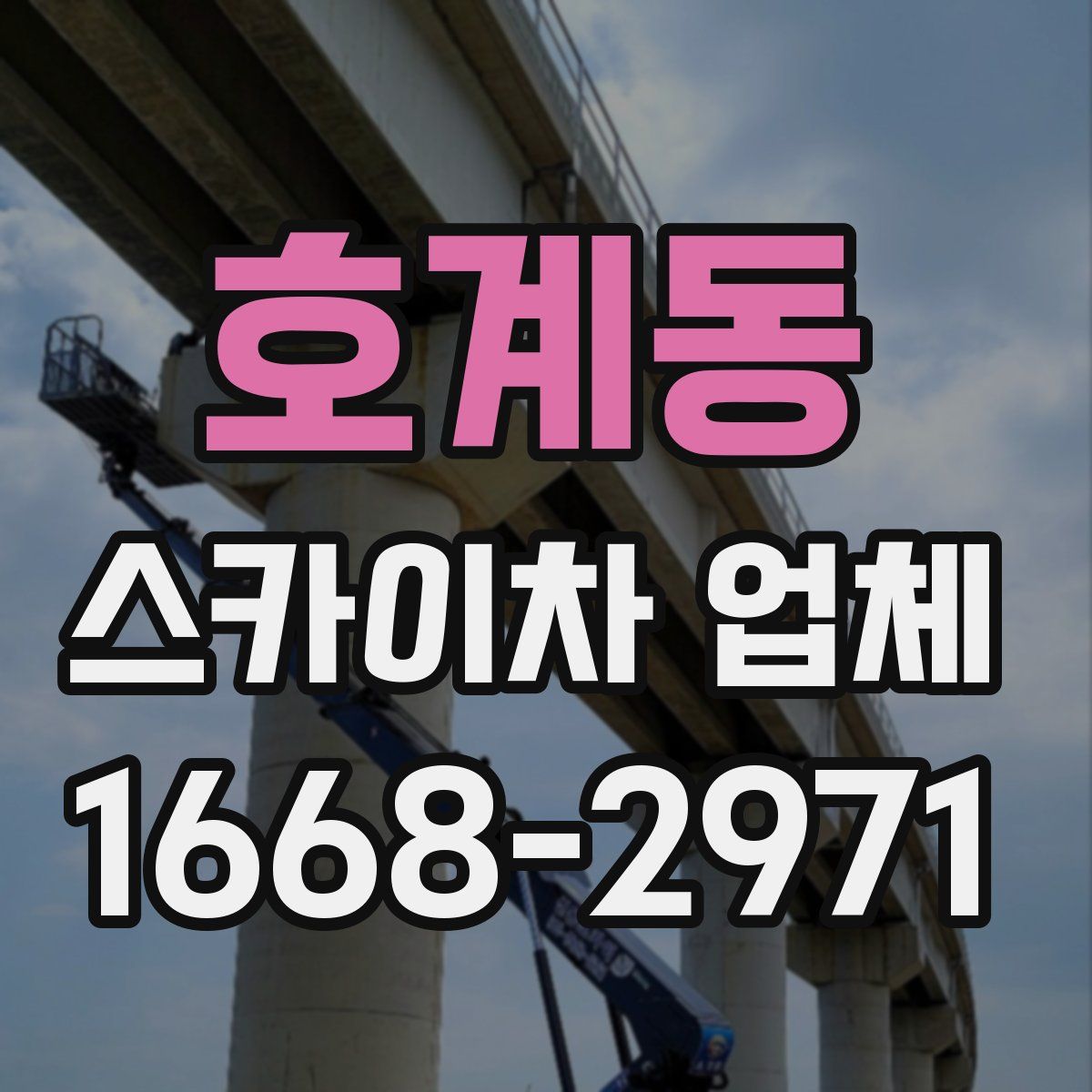 호계동 스카이차 업체
