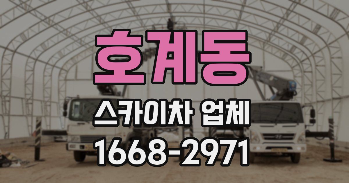 호계동 스카이차 업체