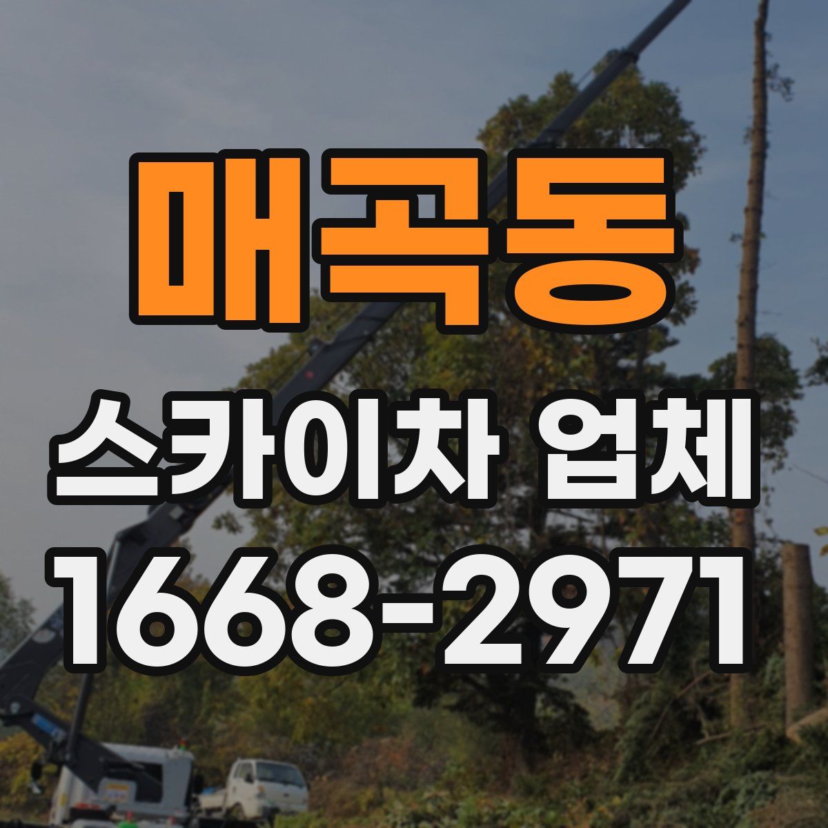 매곡동 스카이차 업체