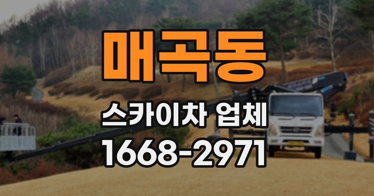 매곡동 스카이차 업체