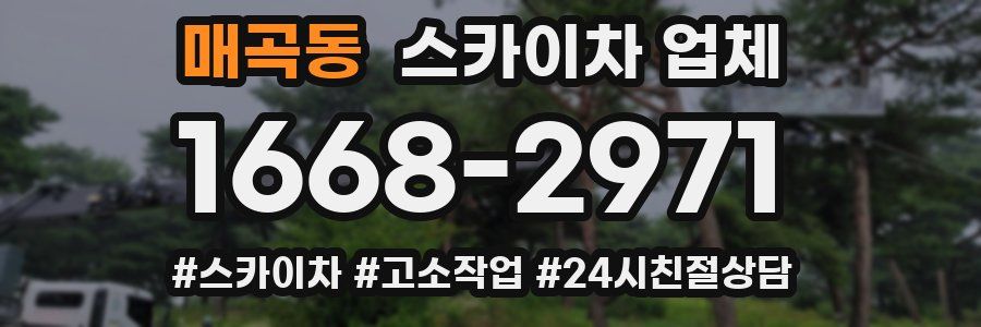 매곡동 스카이차 업체