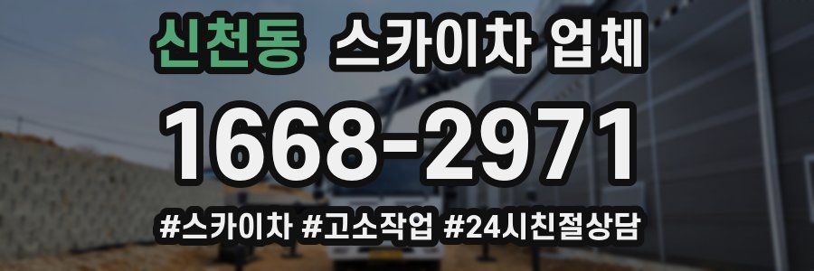 신천동 스카이차 업체