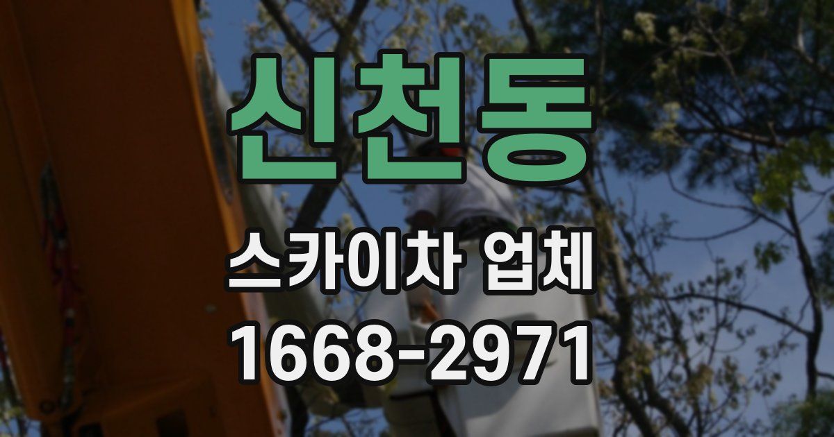 신천동 스카이차 업체