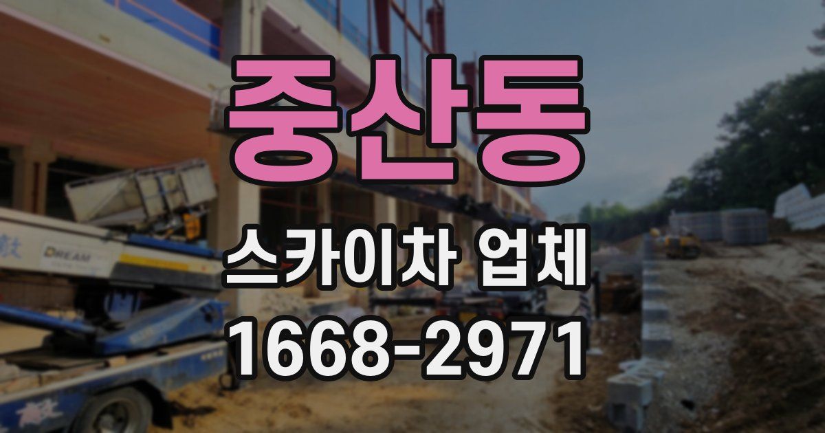 중산동 스카이차 업체