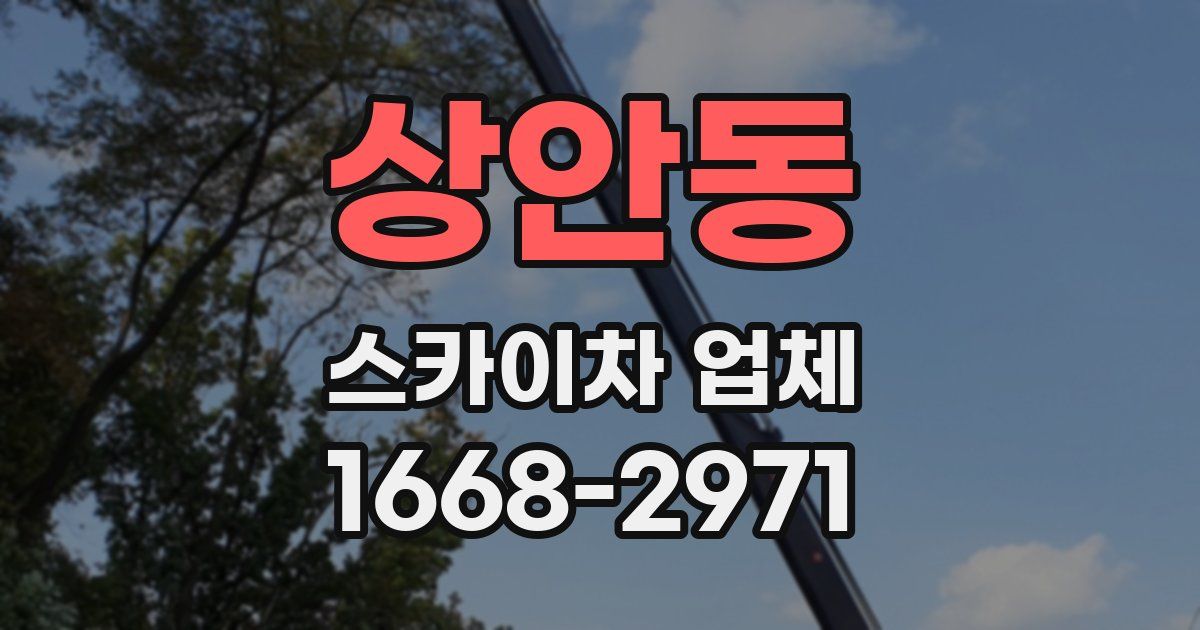 상안동 스카이차 업체