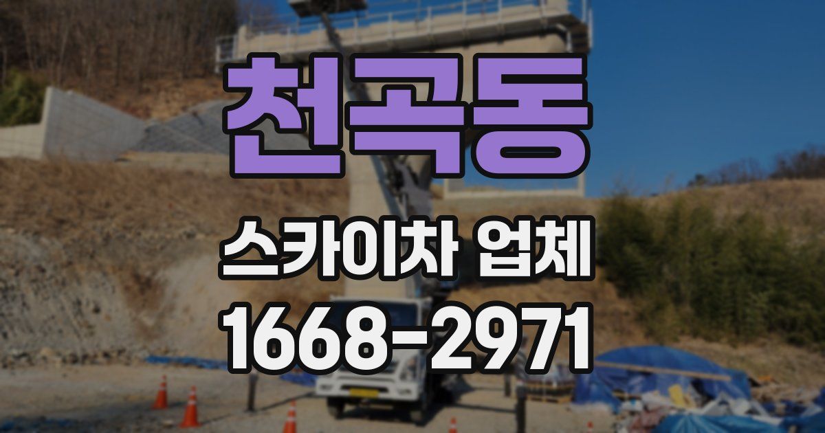 천곡동 스카이차 업체
