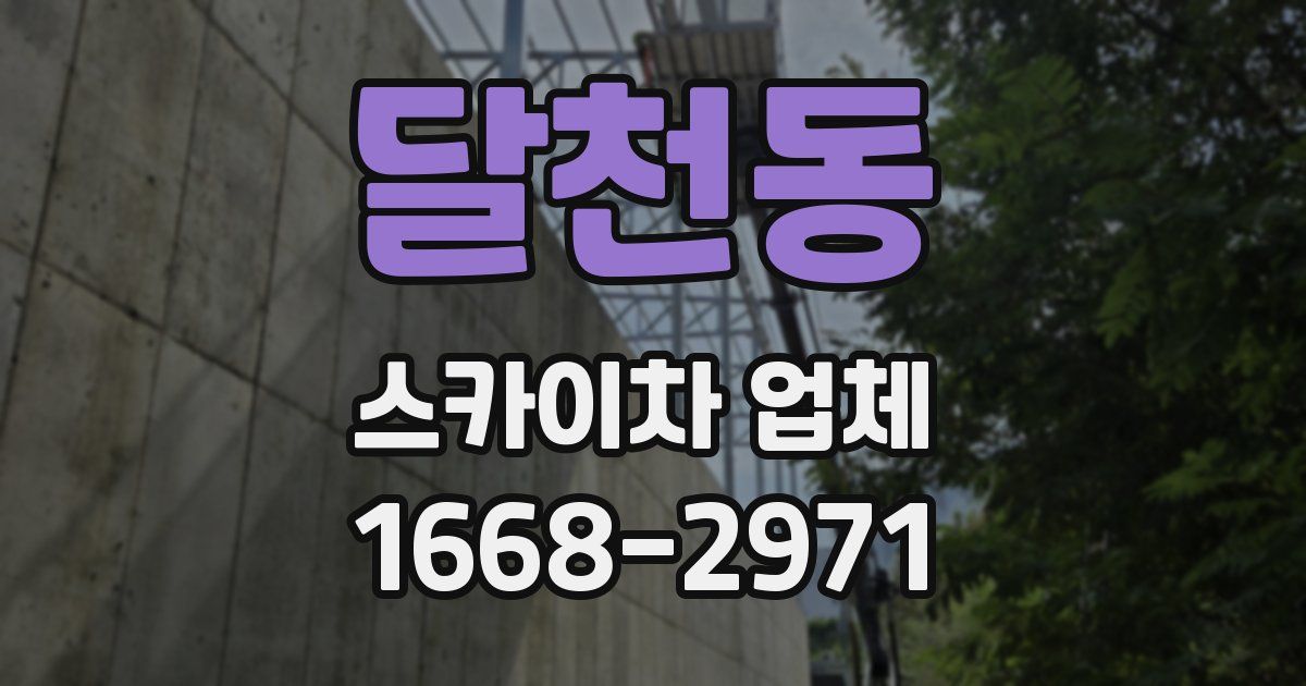 달천동 스카이차 업체