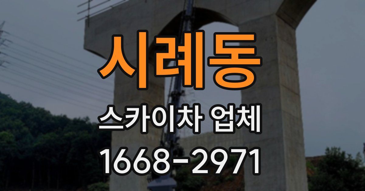 시례동 스카이차 업체