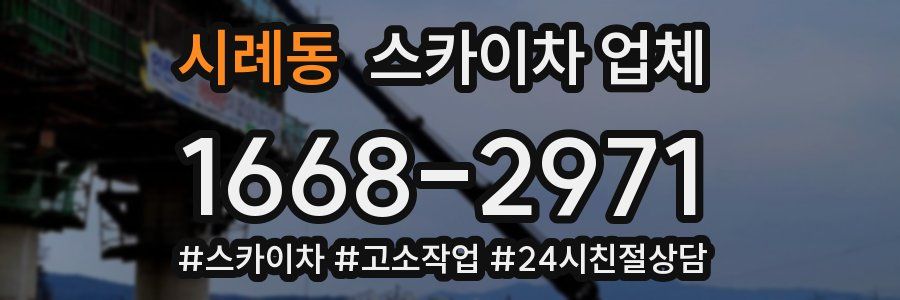 시례동 스카이차 업체
