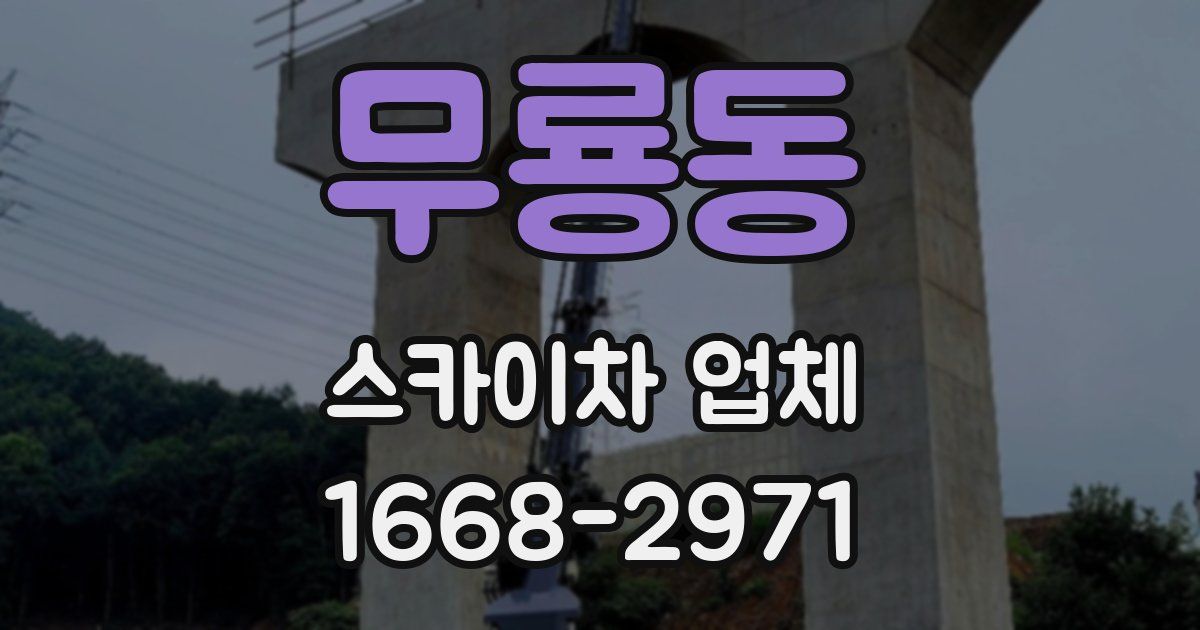 무룡동 스카이차 업체