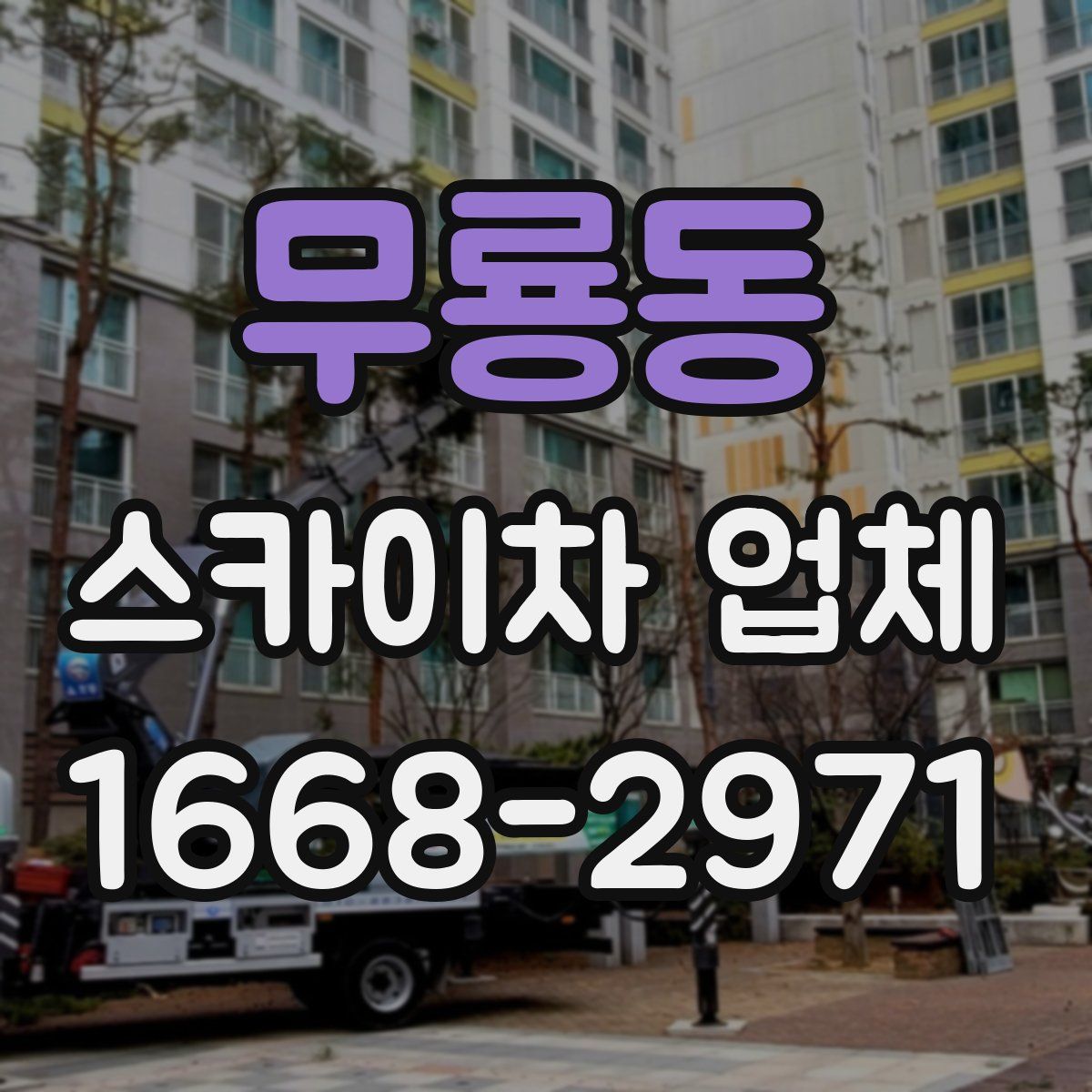 무룡동 스카이차 업체