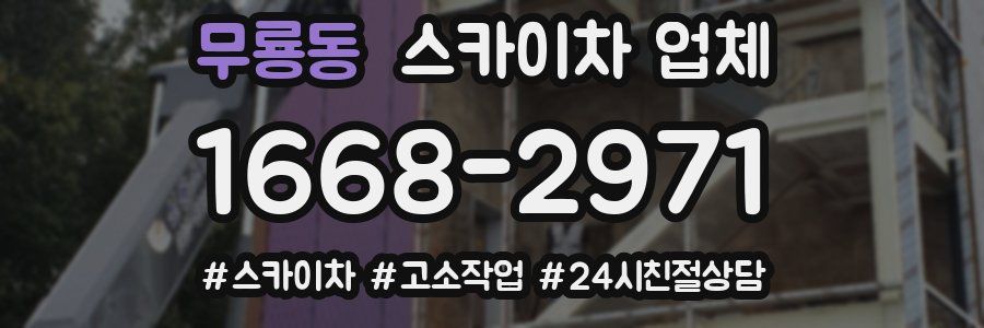 무룡동 스카이차 업체