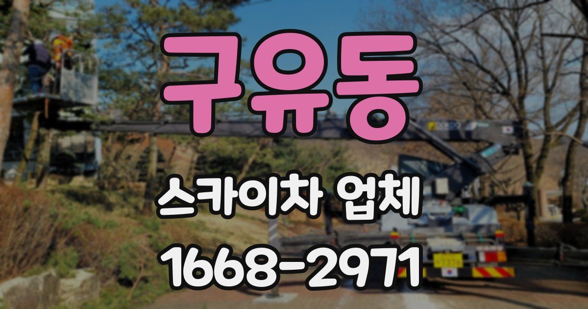 구유동 스카이차 업체