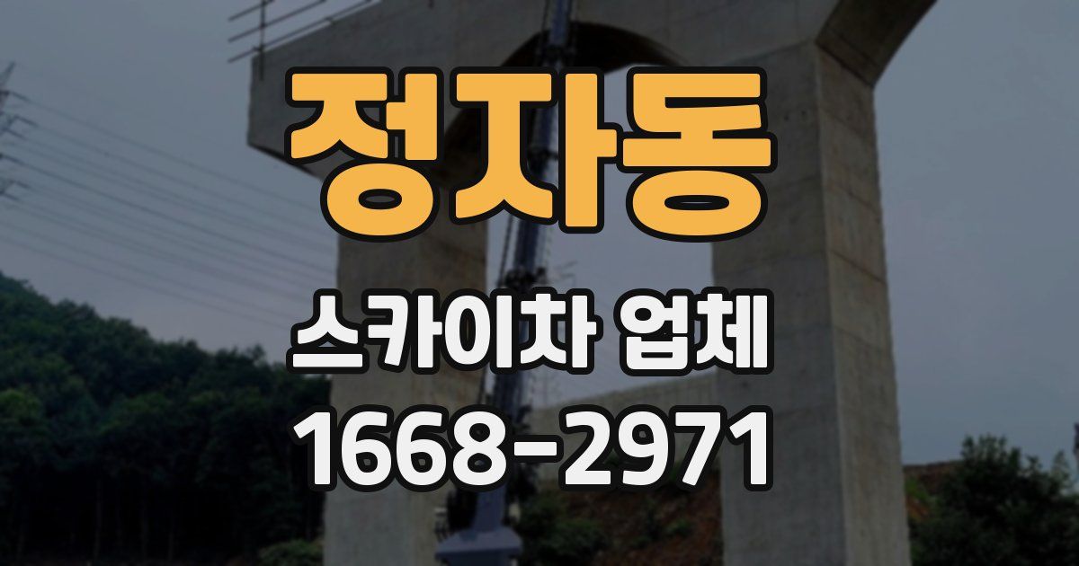 정자동 스카이차 업체