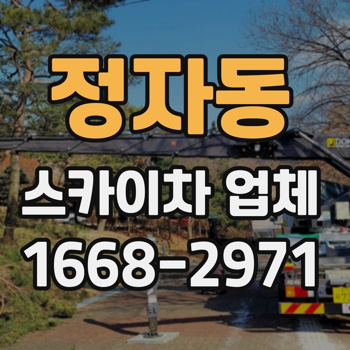 정자동 스카이차 업체