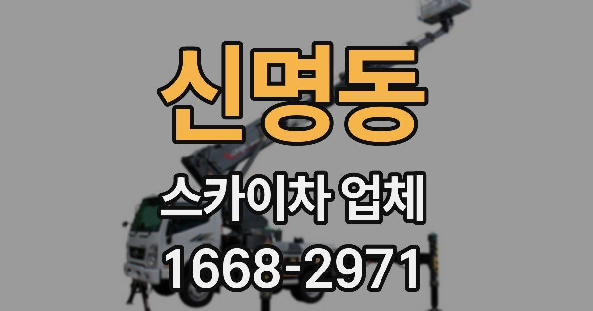 신명동 스카이차 업체