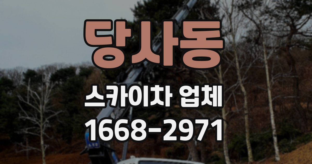 당사동 스카이차 업체