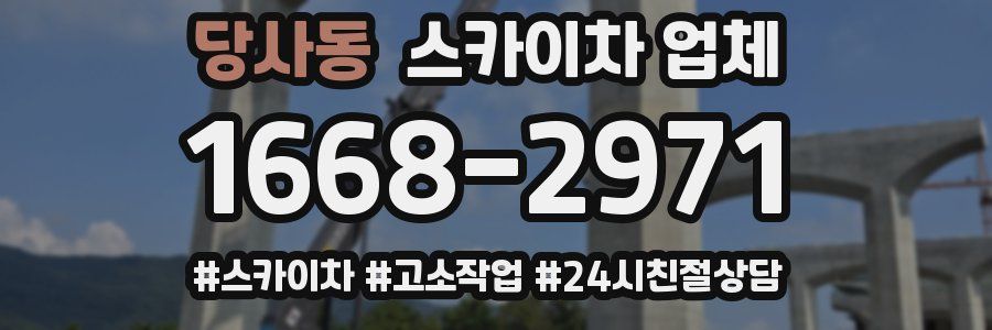 당사동 스카이차 업체