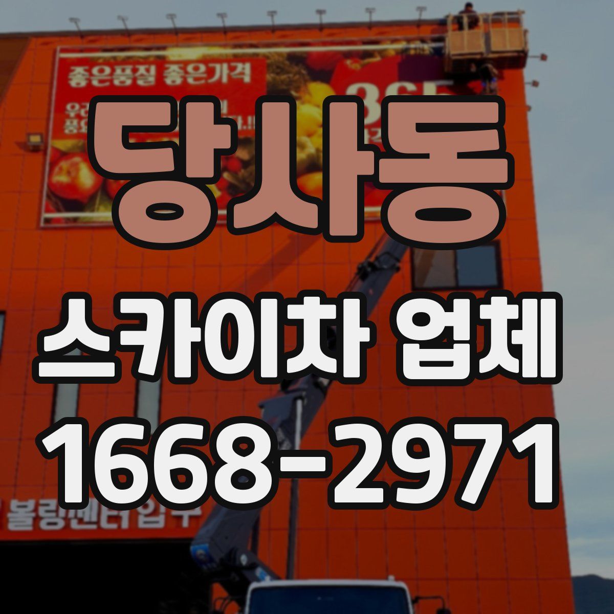 당사동 스카이차 업체