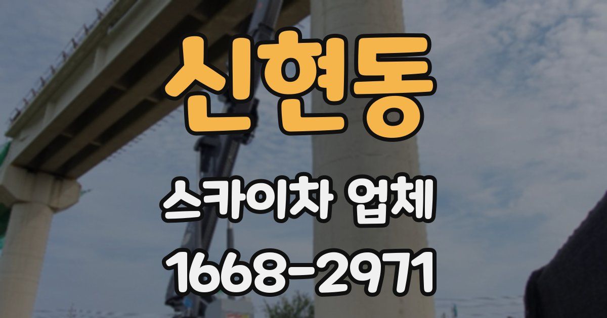 신현동 스카이차 업체