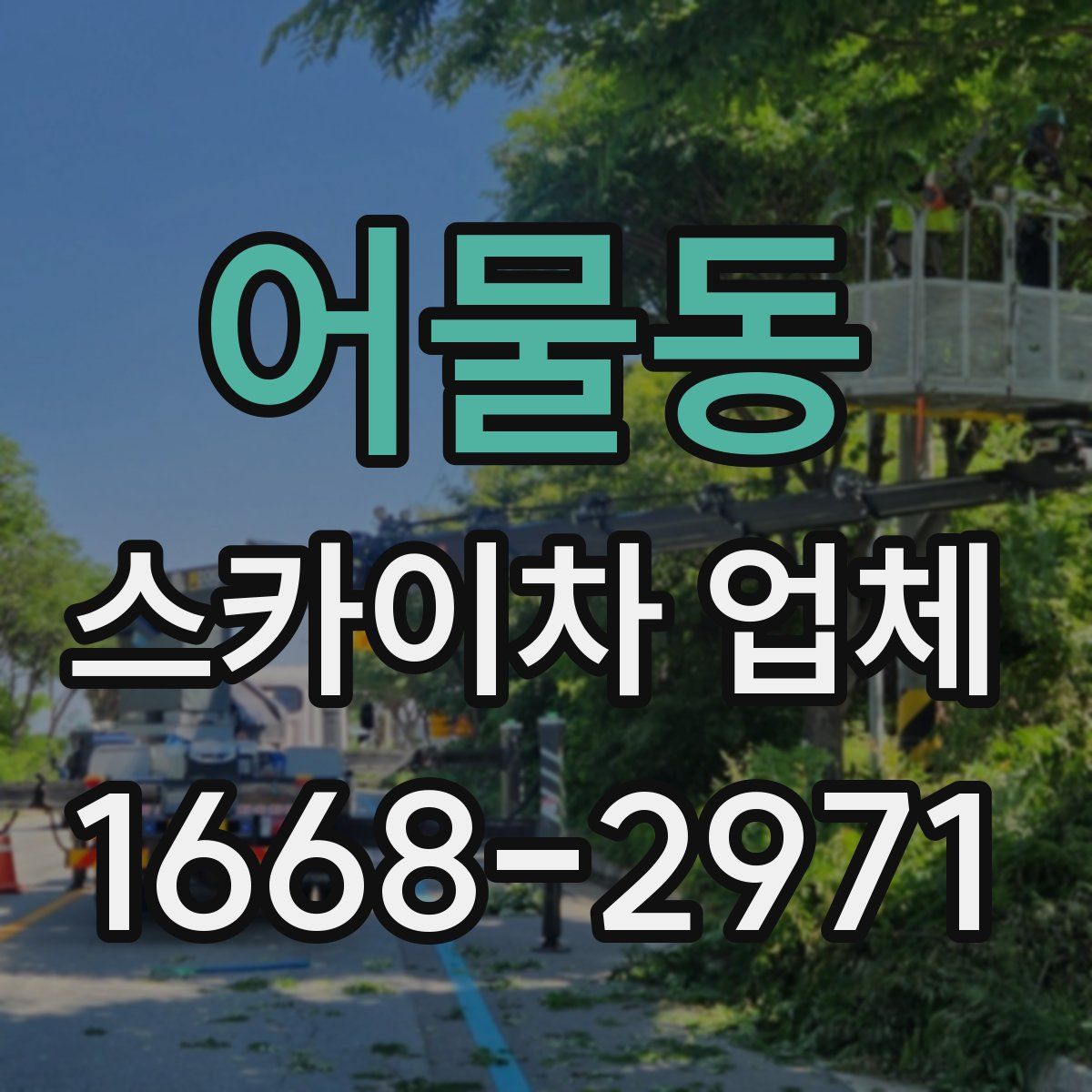 어물동 스카이차 업체