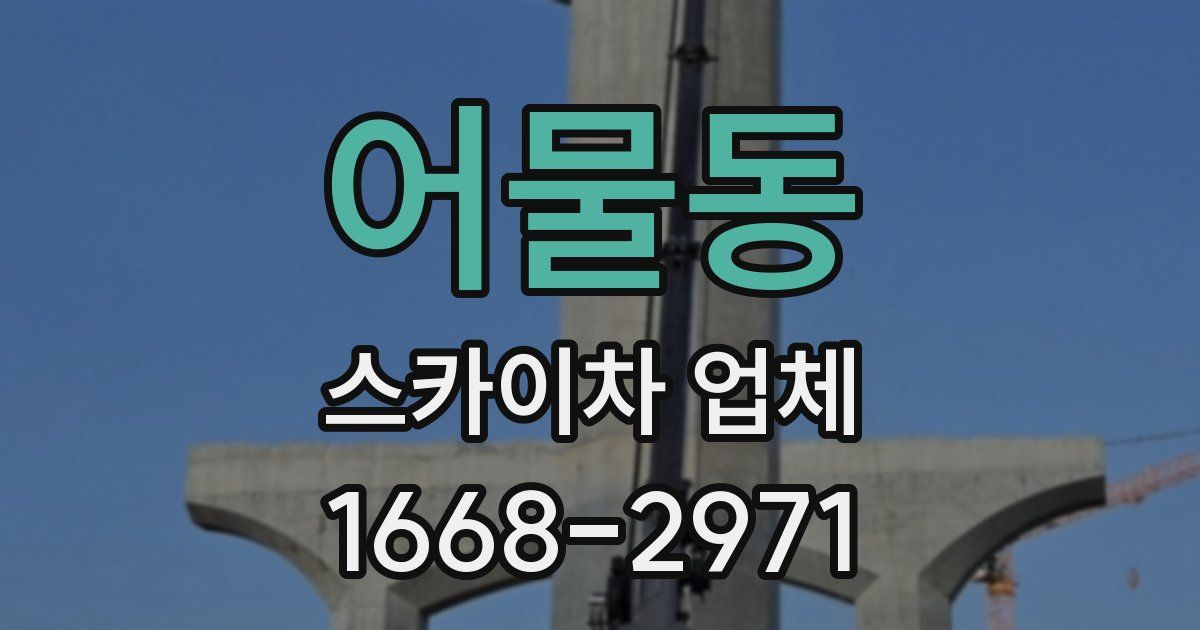 어물동 스카이차 업체