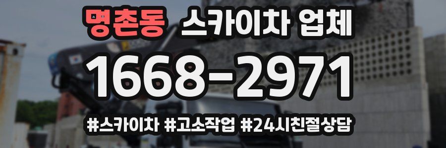 명촌동 스카이차 업체