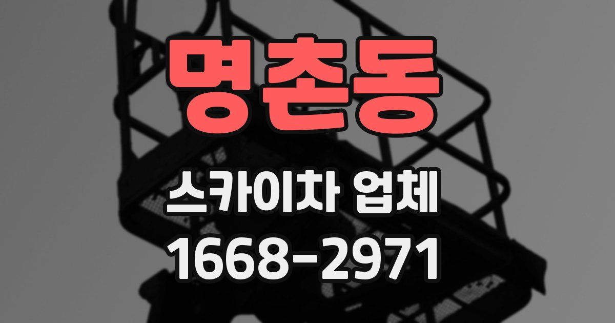 명촌동 스카이차 업체
