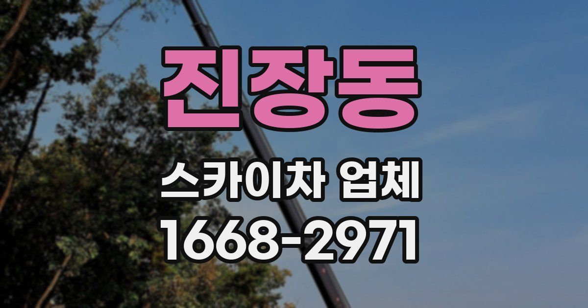 진장동 스카이차 업체
