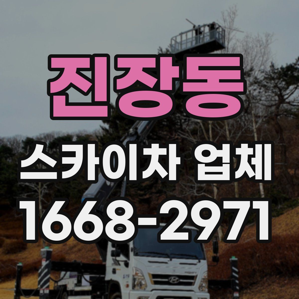 진장동 스카이차 업체