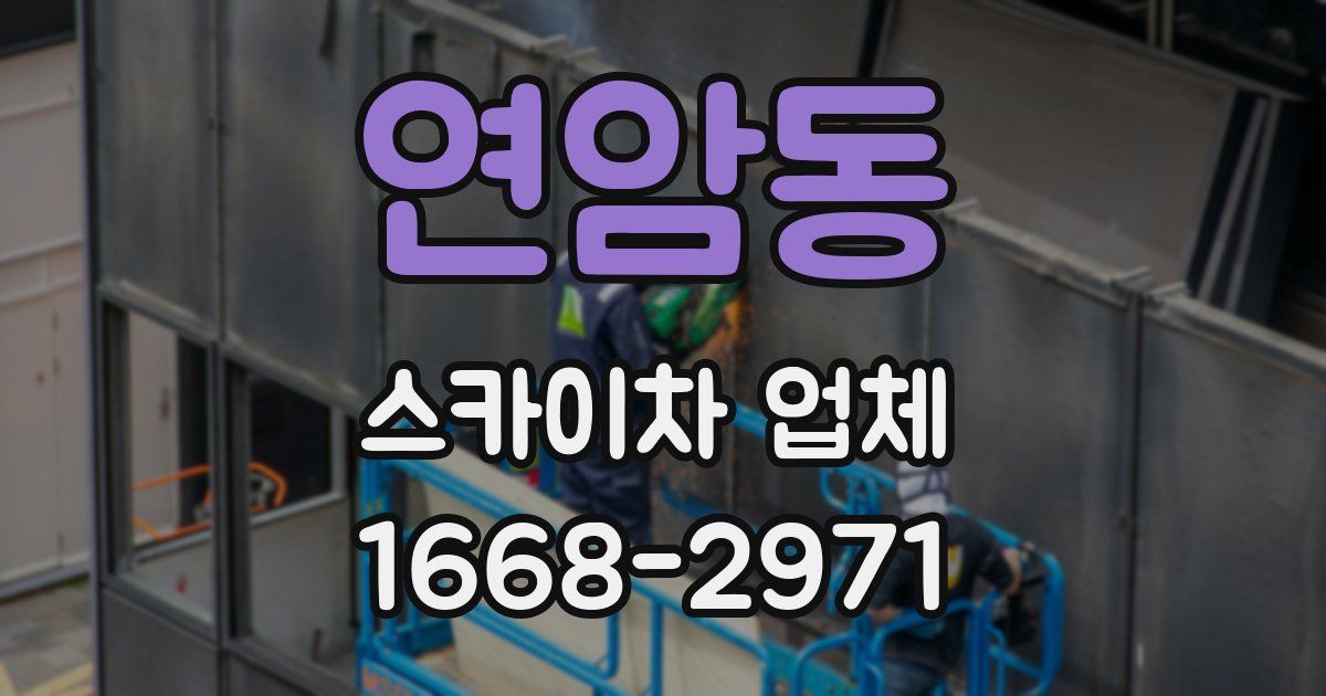 연암동 스카이차 업체