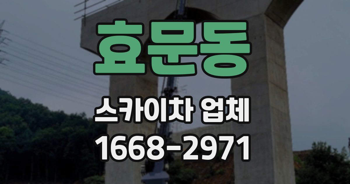 효문동 스카이차 업체