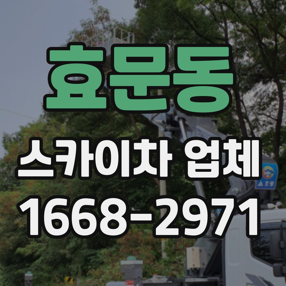 효문동 스카이차 업체