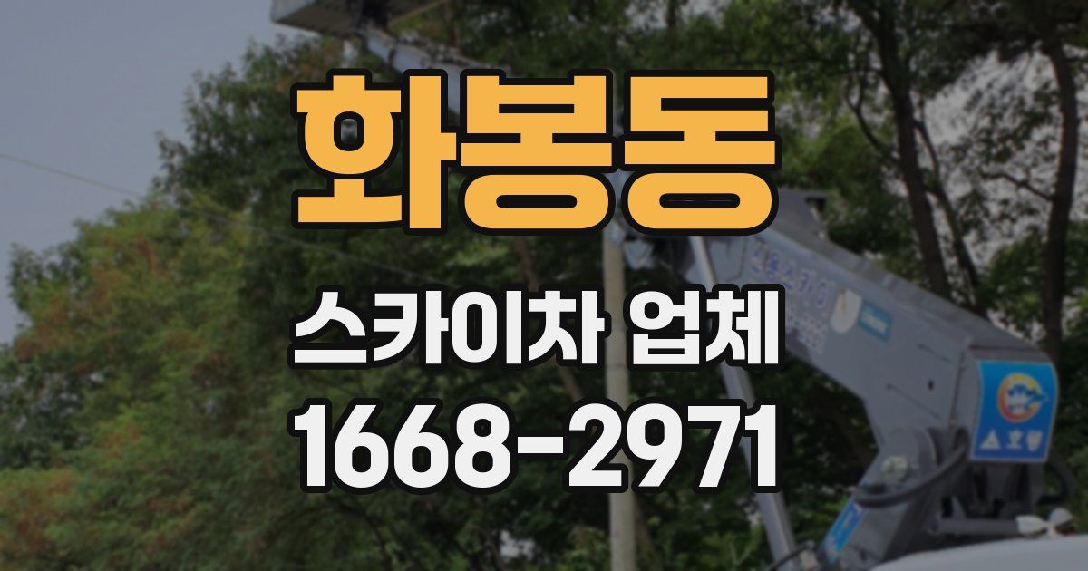 화봉동 스카이차 업체