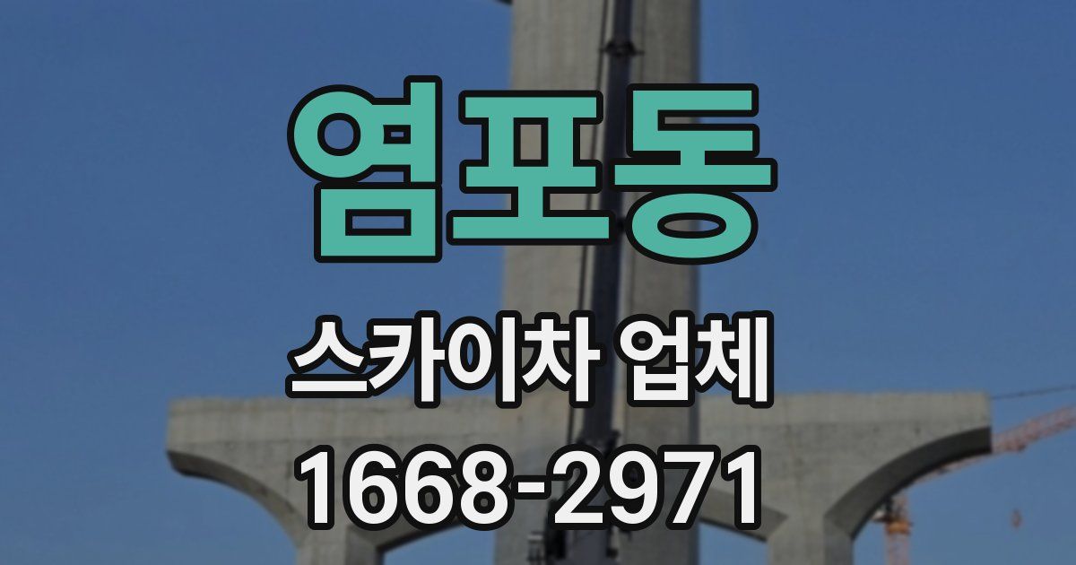 염포동 스카이차 업체