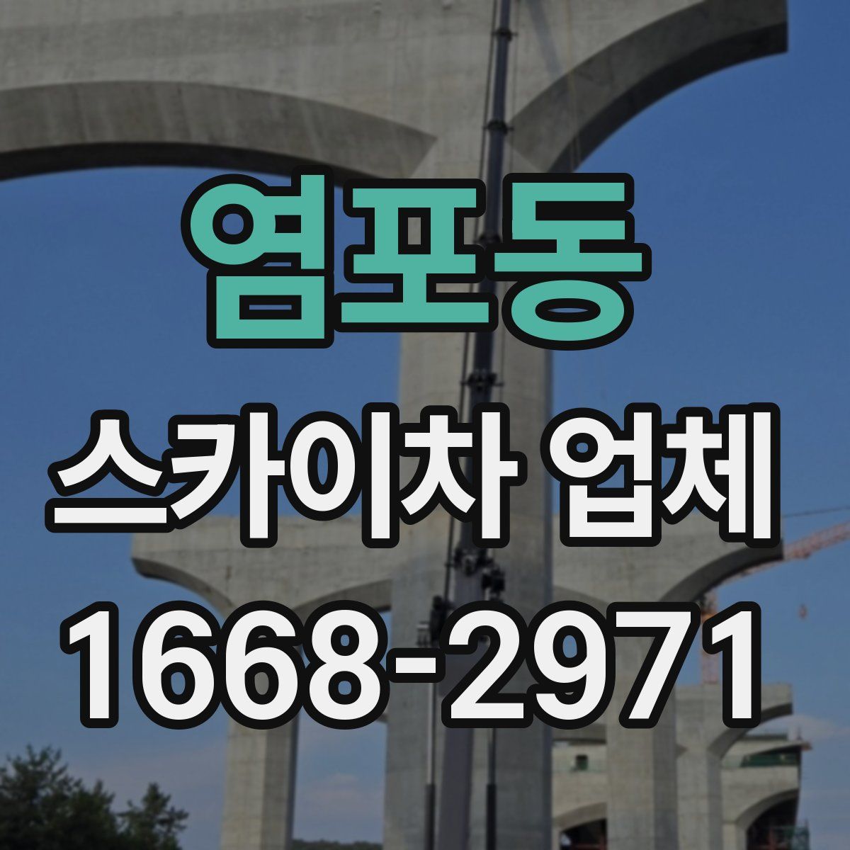 염포동 스카이차 업체