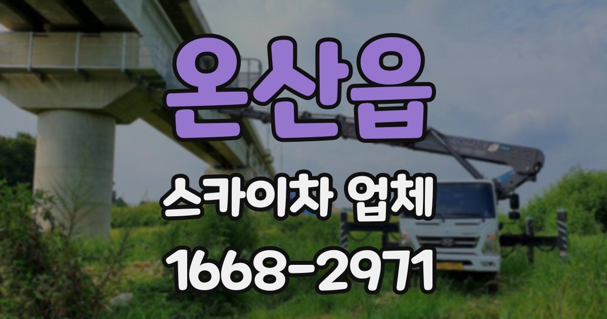 온산읍 스카이차 업체