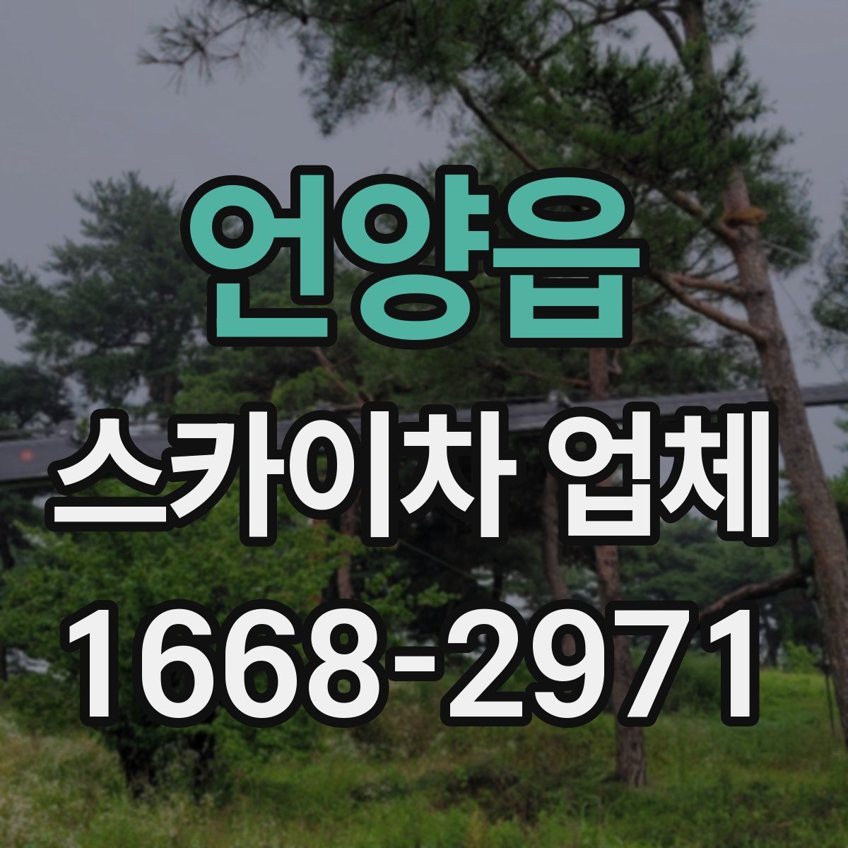 언양읍 스카이차 업체