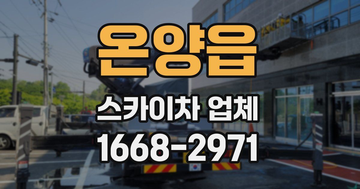 온양읍 스카이차 업체