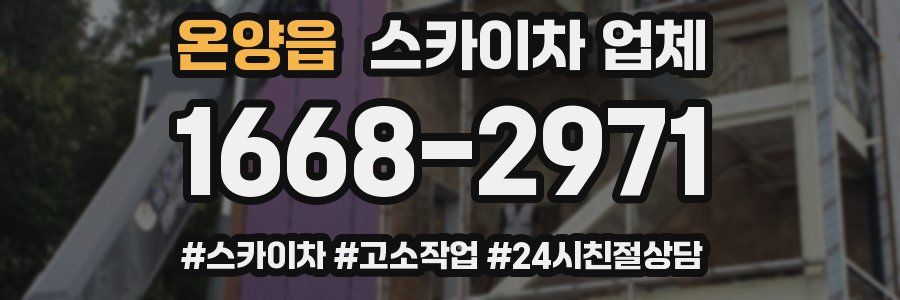 온양읍 스카이차 업체