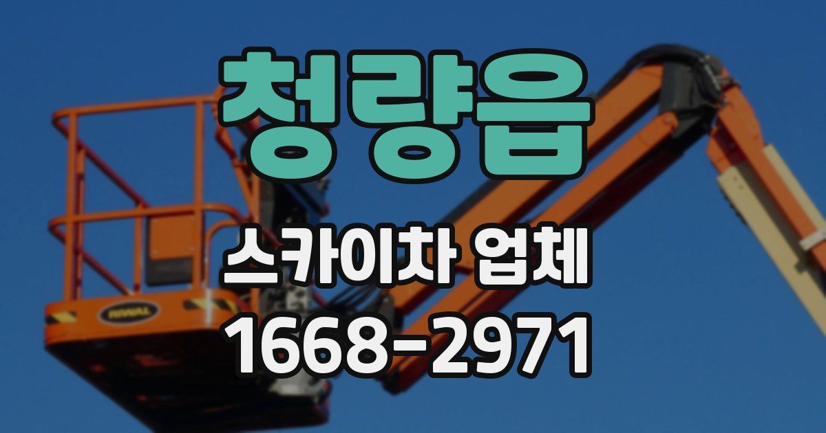 청량읍 스카이차 업체