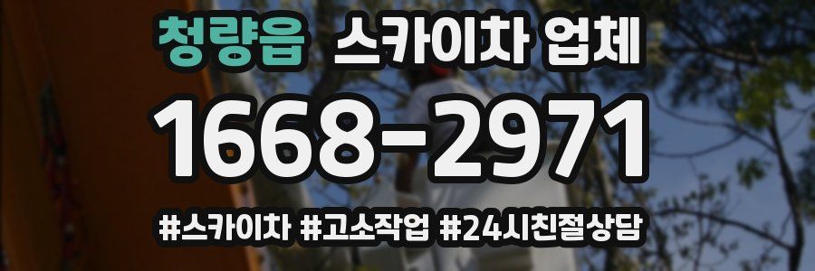 청량읍 스카이차 업체