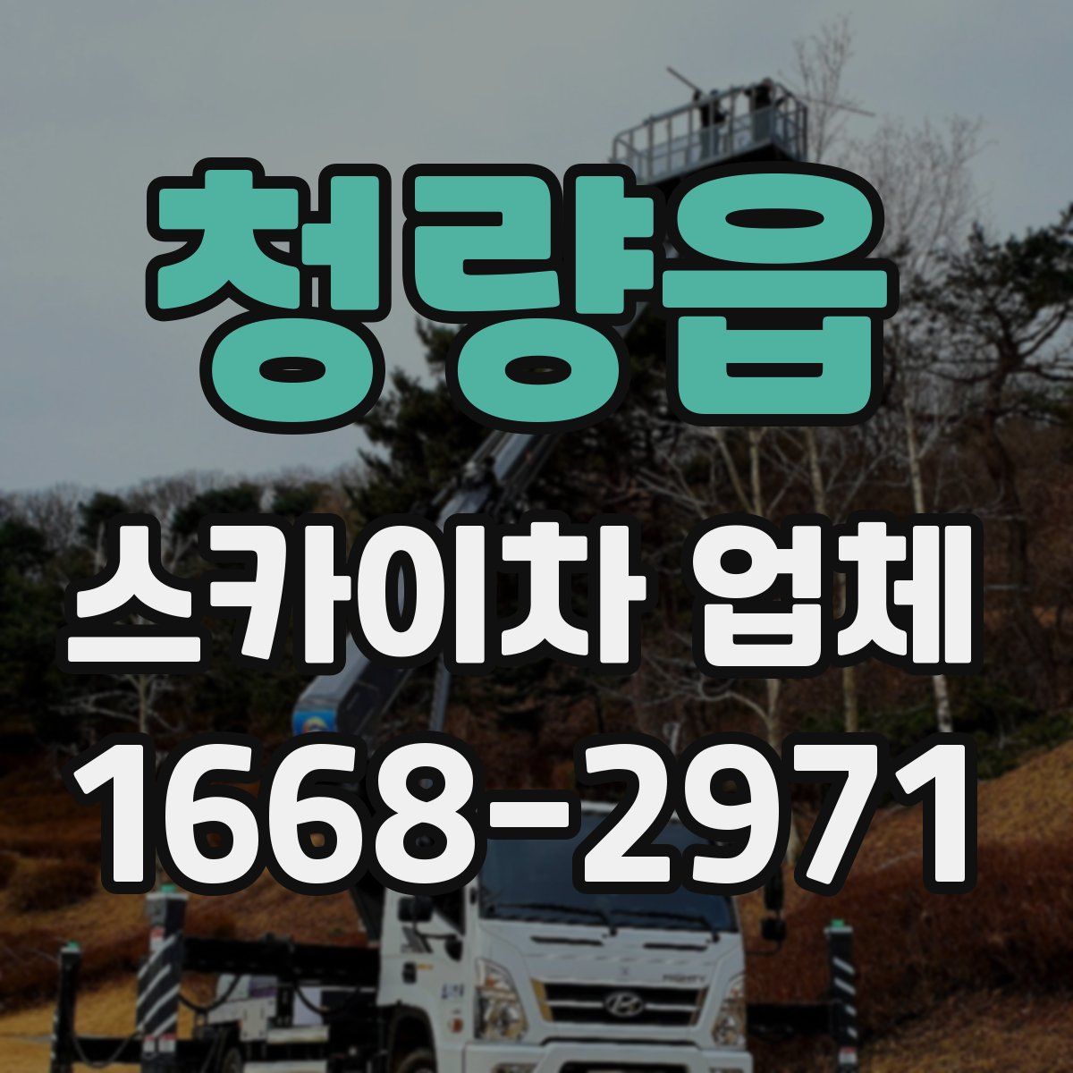청량읍 스카이차 업체