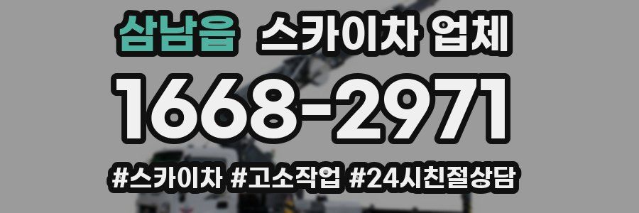 삼남읍 스카이차 업체