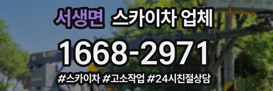 서생면 스카이차 업체