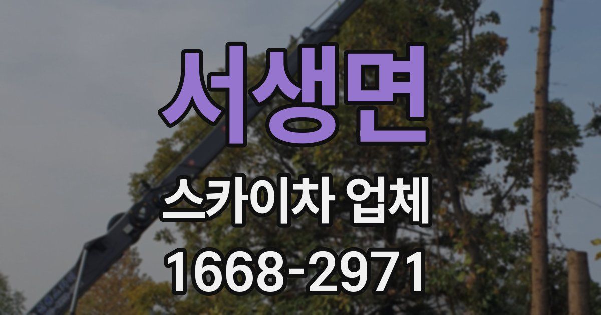 서생면 스카이차 업체