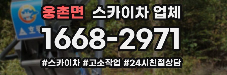 웅촌면 스카이차 업체